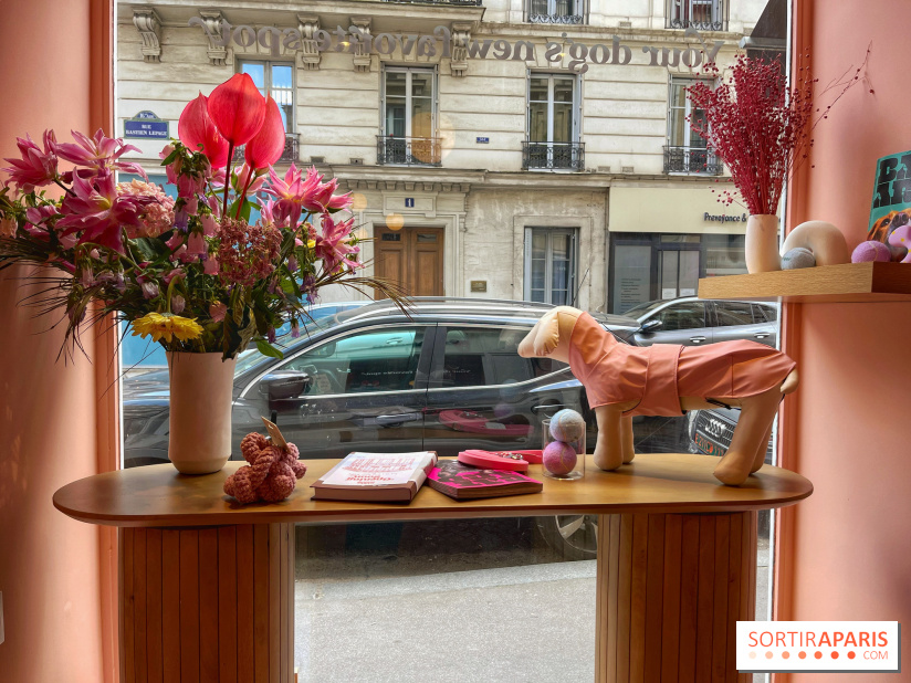 Casa del Doggo - IMG 1621