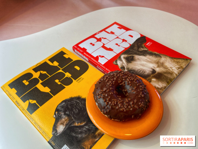 Casa del Doggo - IMG 1628