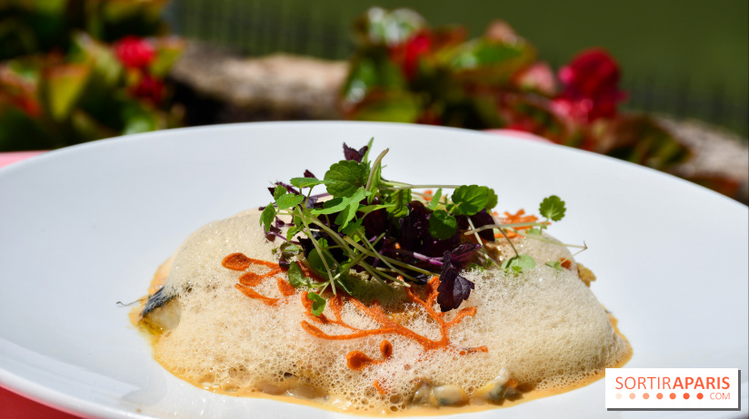 L'Écu de France, un restaurant gastronomique en bord de Marne - DSC 1491