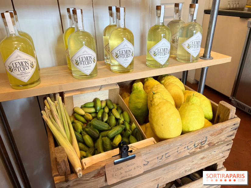 Lemon Story - Agrumes et limoncello