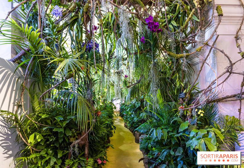 Exposition Paris à l'Hôtel de Ville - les Photos