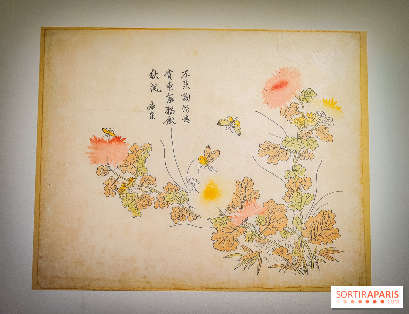Au cœur de la couleur : l'exposition autour de la porcelaine de Chine au musée Guimet - nos photos