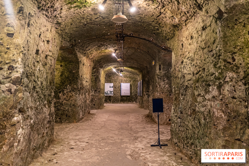 Le Château de la Roche Guyon, le château troglodyte dans le Val-d'Oise - 95 -  sous-terrains