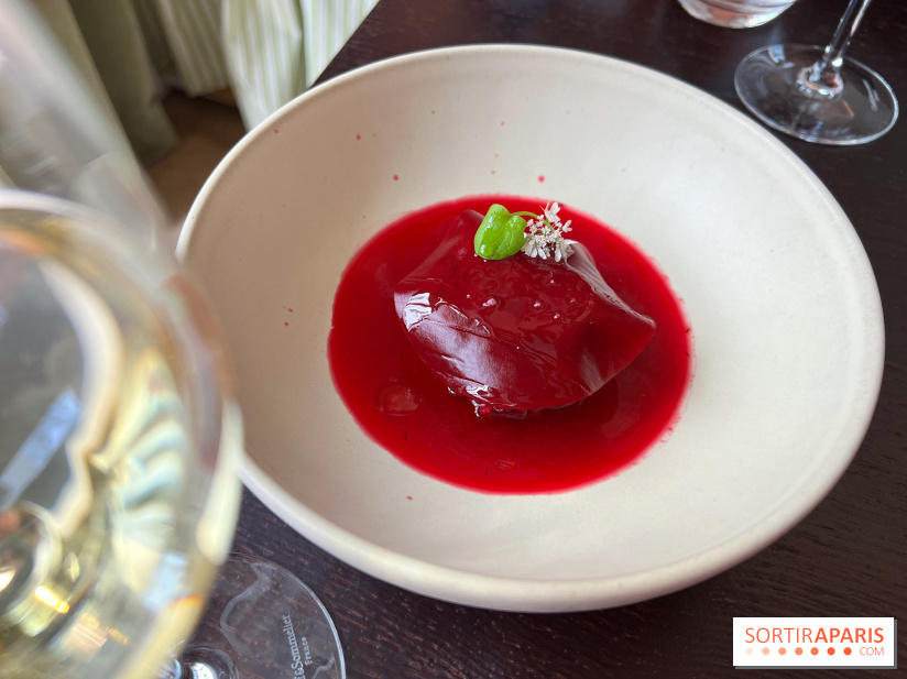 Matka - Bortsch glacé