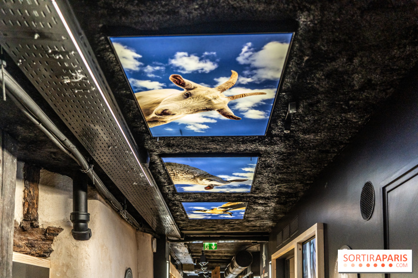 Musée du Fromage à Paris, les photos -  A7C6725