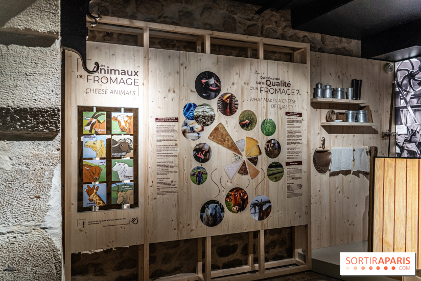 Musée du Fromage à Paris, les photos -  A7C6698