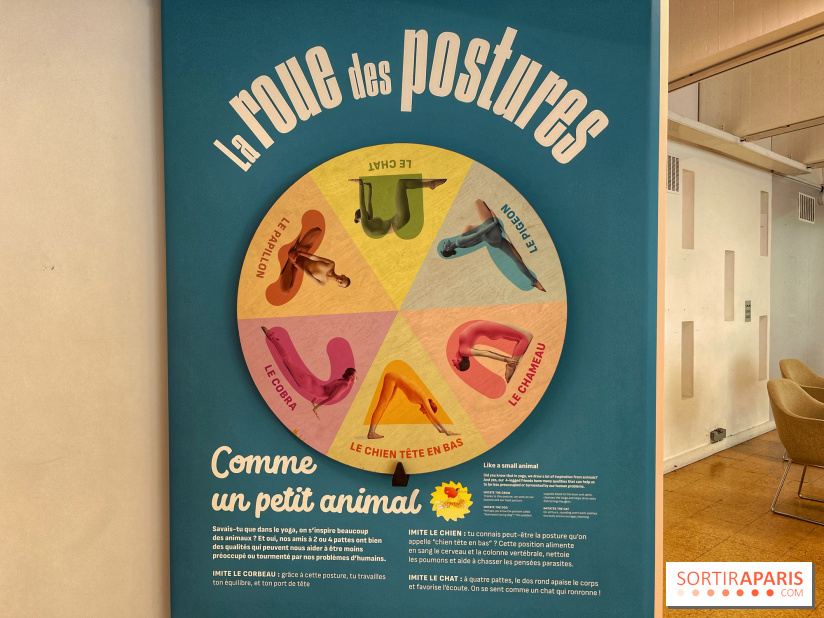 Maitre Yoga - IMG 1868