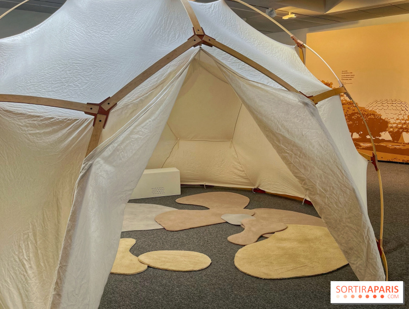 Maitre Yoga - IMG 4333