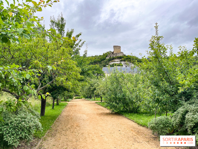 Potager-Fruitier de la Roche Guyon - nos photos - image00020