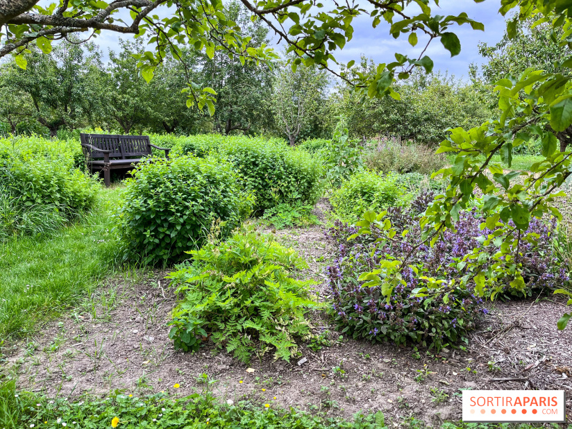 Potager-Fruitier de la Roche Guyon - nos photos