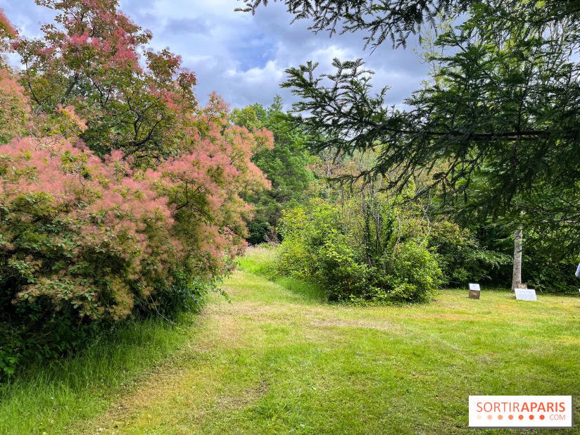 Arboretum de la Roche-Guyon - nos photos