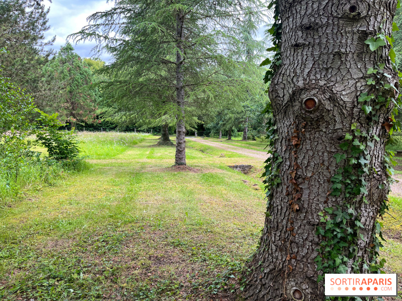 Arboretum de la Roche-Guyon - nos photos