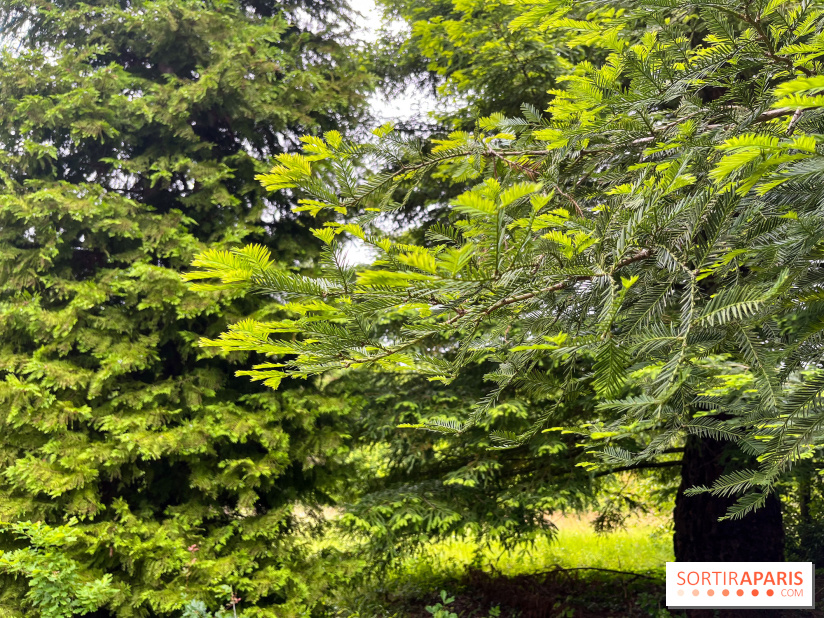Arboretum de la Roche-Guyon - nos photos