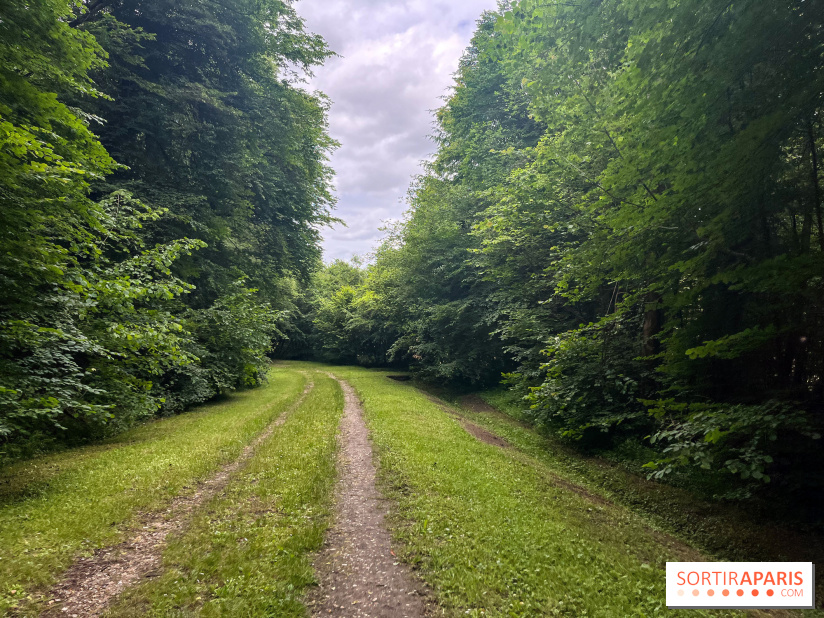 Arboretum de la Roche-Guyon - nos photos - image00001
