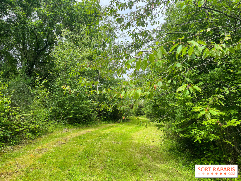 Arboretum de la Roche-Guyon - nos photos - image00002