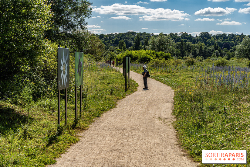Le Parc du peuple de l'herbe dans les Yvelines - Étang de Galiotte - Carrières-sous-Poissy