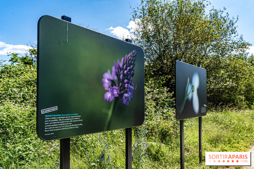 Le Parc du peuple de l'herbe dans les Yvelines - Étang de Galiotte - Carrières-sous-Poissy