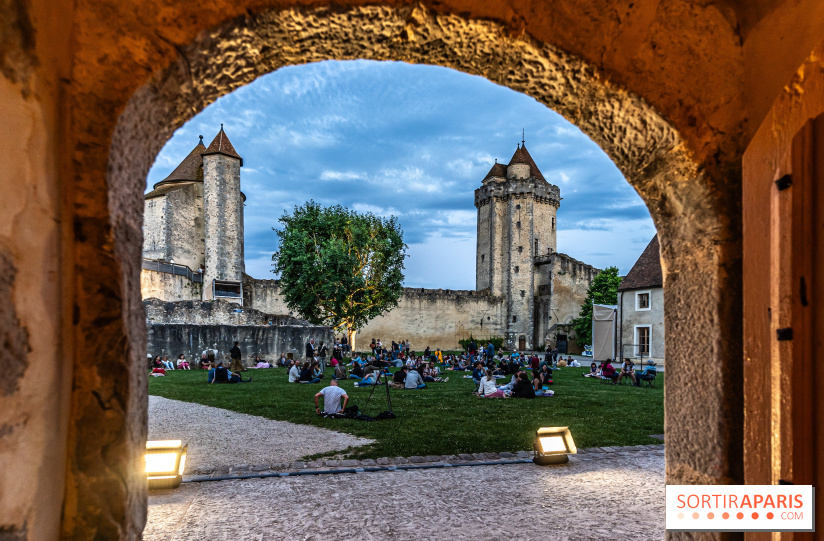Lumières de Blandy : l'héritage des vicomtes, le spectacle sons et lumières -  pique-nique