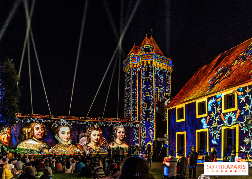 Lumières de Blandy : l'héritage des vicomtes, le spectacle sons et lumières -  A7C8178