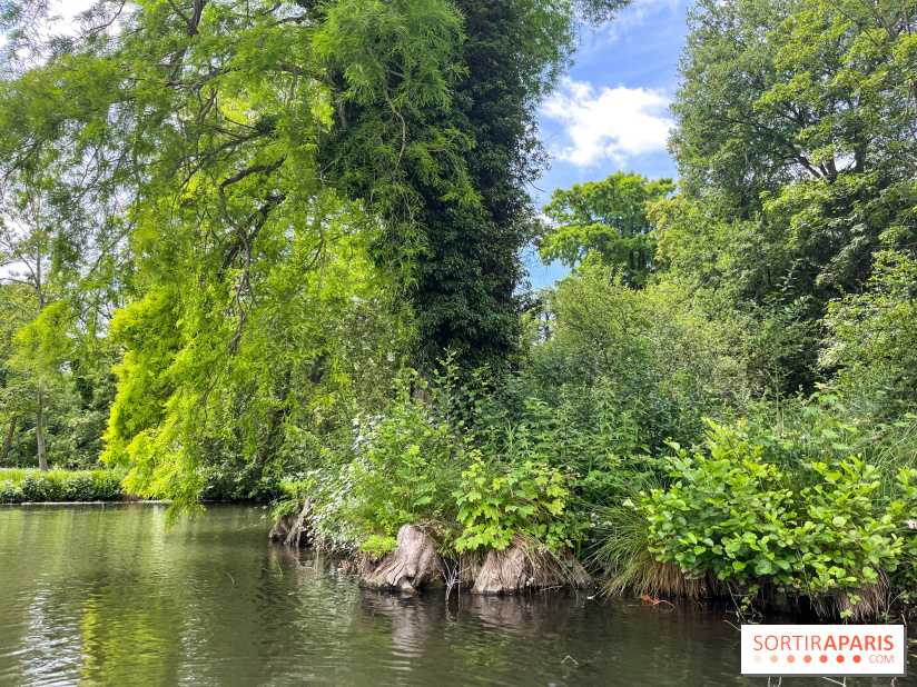 Domaine de Chamarande - nos photos - image00004