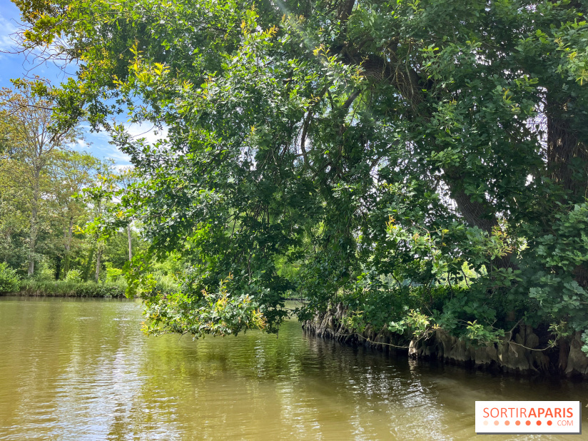 Domaine de Chamarande - nos photos - image00007