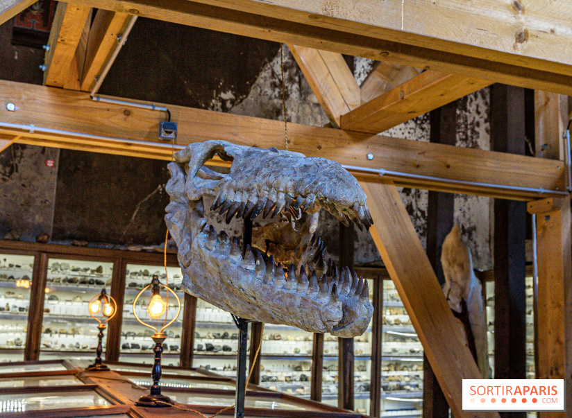 Un dinosaure géant au Château de Dampierre - Jurassique au Château de Dampierre -  A7C8908