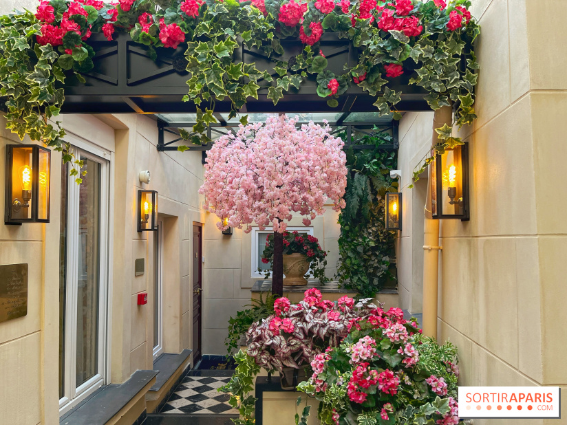 Maison Bohème, - IMG 2820