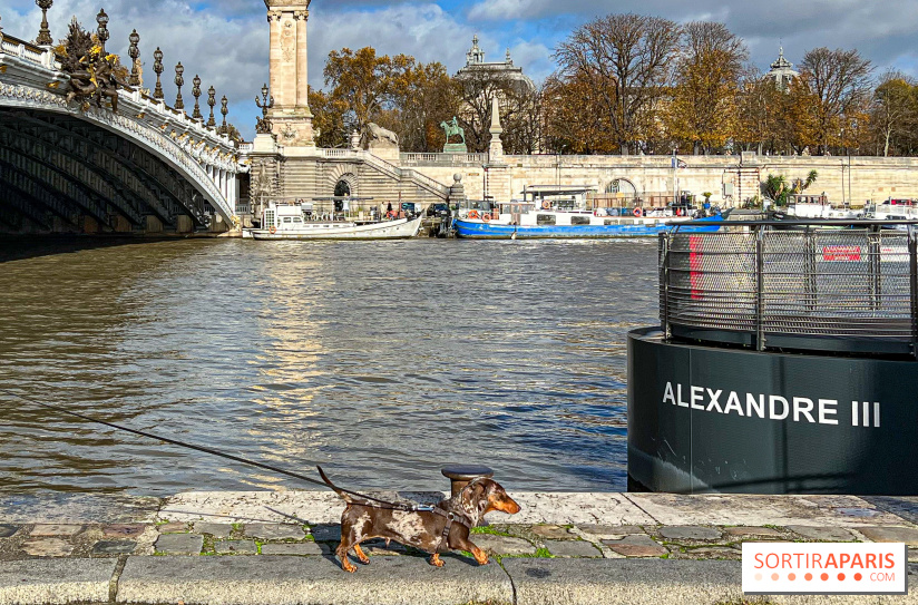 Paris Sausage Walk 2024 : la marche des teckels de retour dans la capitale - image00001