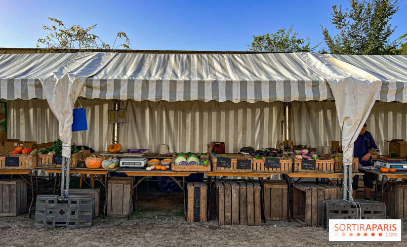 Les Saveurs du Potager du Roi à Versailles : marché de fruits & légumes, expositions et animations
