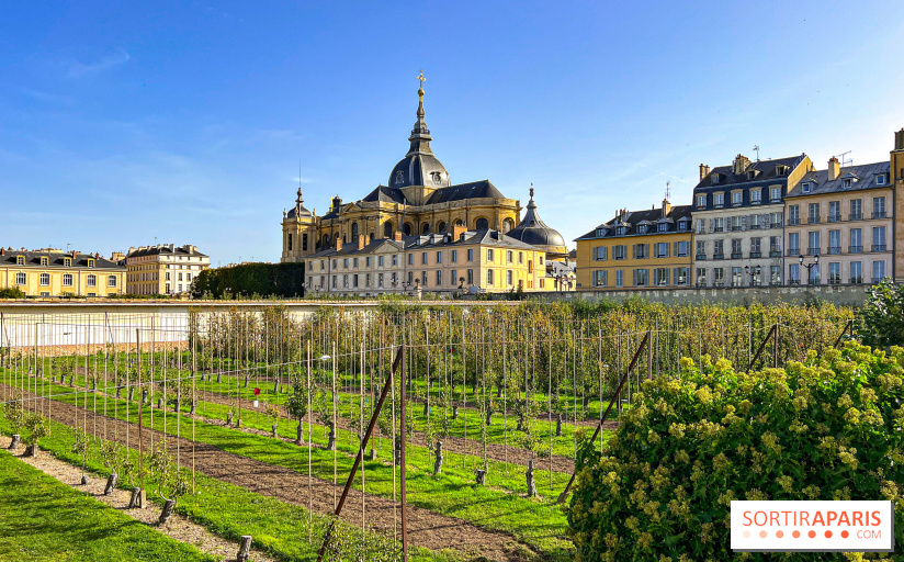 Les Saveurs du Potager du Roi à Versailles : marché de fruits & légumes, expositions et animations