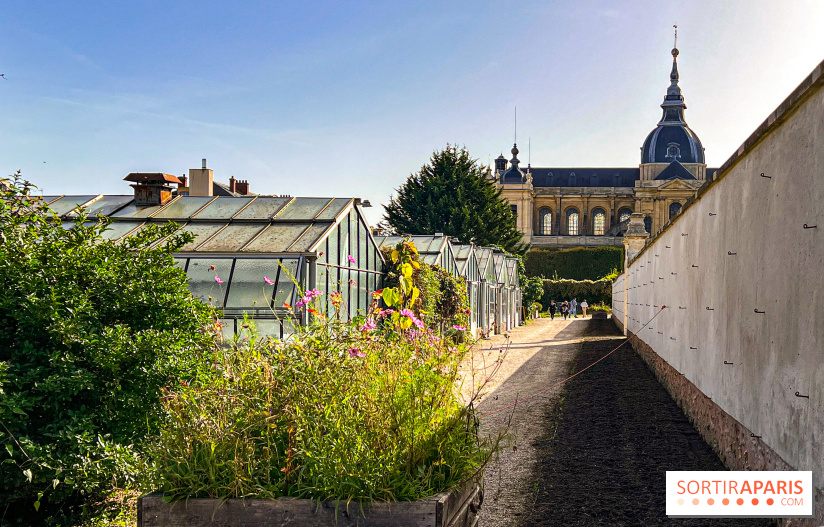 Les Saveurs du Potager du Roi à Versailles : marché de fruits & légumes, expositions et animations