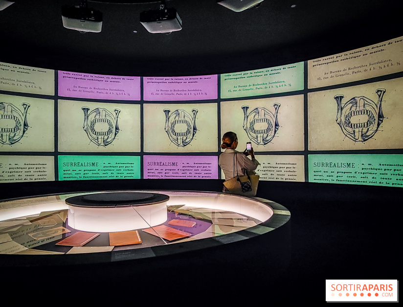 Le surréalisme : l'exposition exceptionnelle qui célèbre les 100 ans du mouvement au Centre Pompidou - IMG20240903165550