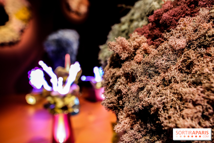 “Forêts astrales” : nos photos de l'exposition gratuite à voir à l'Institut suédois à Paris