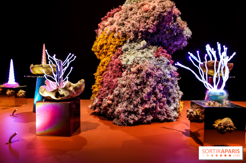 “Forêts astrales” : nos photos de l'exposition gratuite à voir à l'Institut suédois à Paris