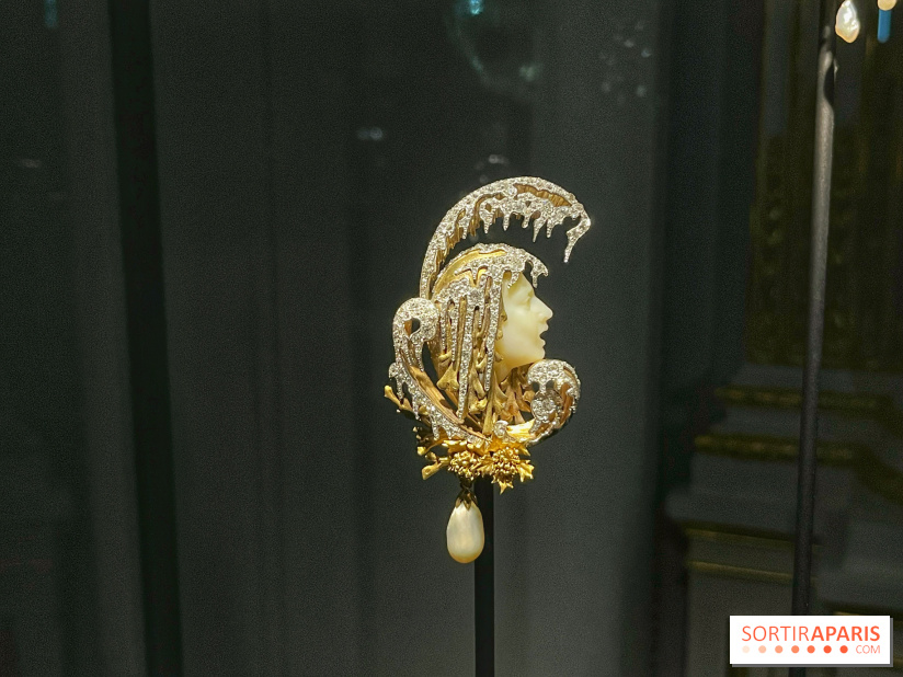 Divins Joyaux, à la recherche de la beauté - IMG 4623