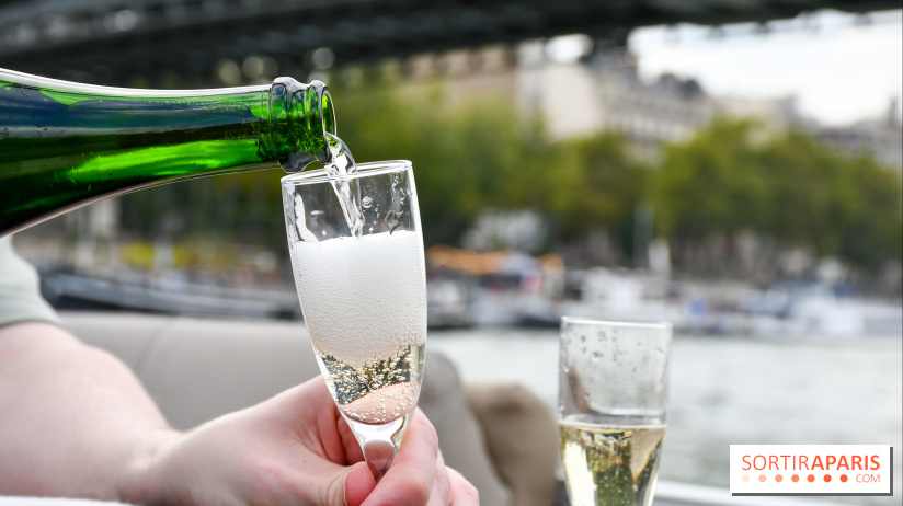 Une croisière privée en amoureux sur la Seine - DSC 2201