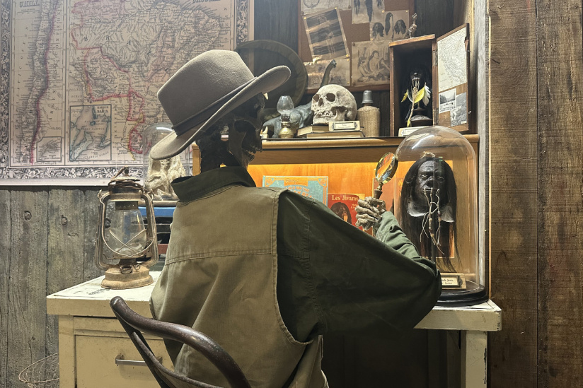 Campagne #33857 - Saynettes d'Halloween 4 Parrot World Dia de los Muertos 2025 1500x1000px