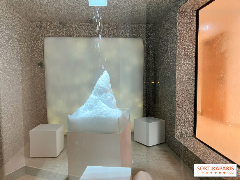 Dolce by Wyndham Versailles - Domaine du Montcel