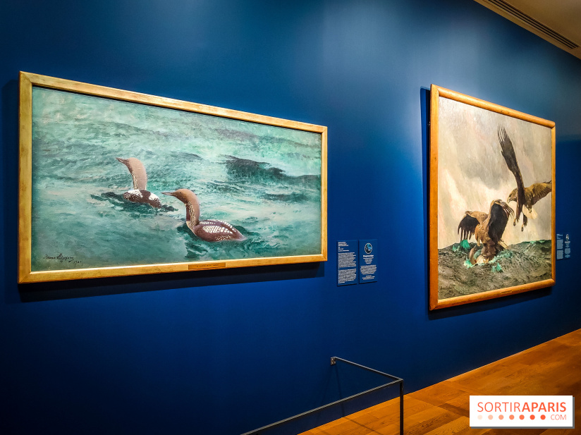 Bruno Liljefors, la Suède sauvage : l'exposition poétique se dévoile en images au Petit Palais - IMG20240930101553