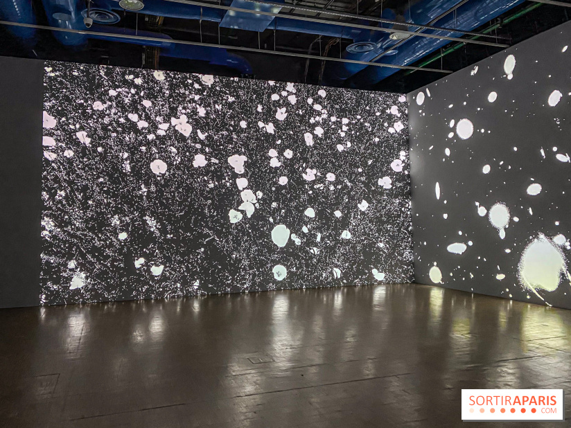 Prix Marcel Duchamp 2024 au Centre Pompidou