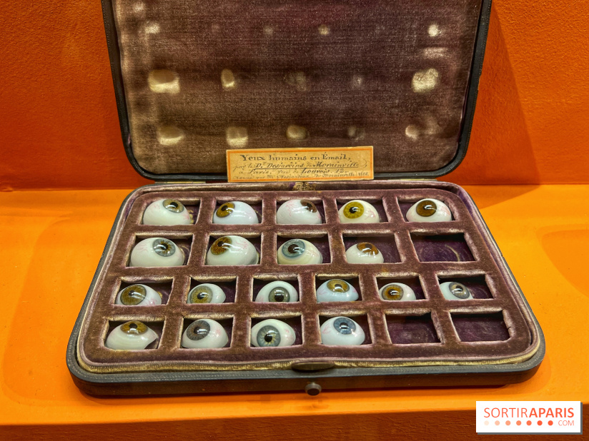 Merveilles - Sèvres - IMG 5130