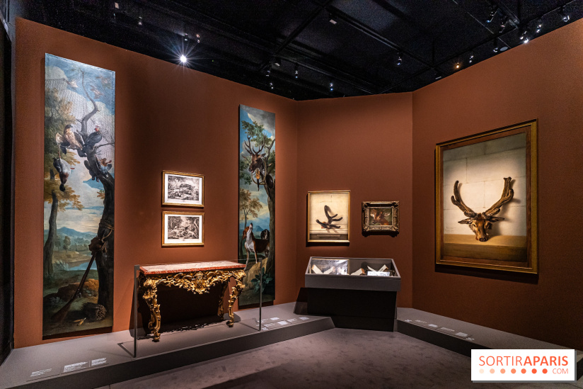  Dali Museum St Pete Fl Hours: A Timeless Journey Through Surreal Artistry