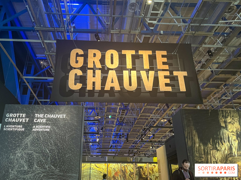 La Grotte Chauvet à la Cité des Sciences, nos photos  - image00018