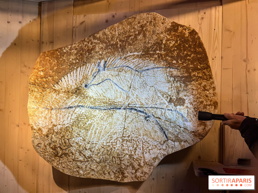 La Grotte Chauvet à la Cité des Sciences, nos photos  - image00005