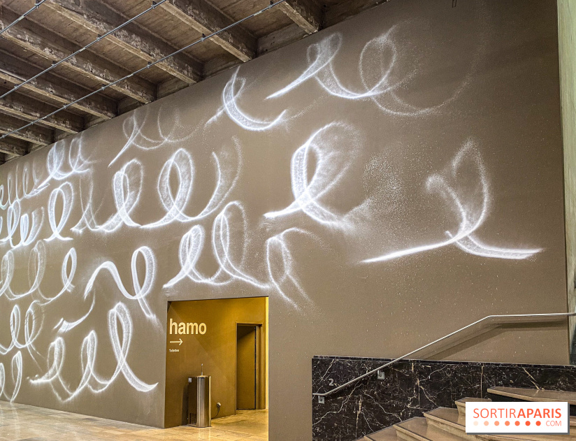 La Elle : l'installation de Renée Levi au Palais de Tokyo - IMG 0588