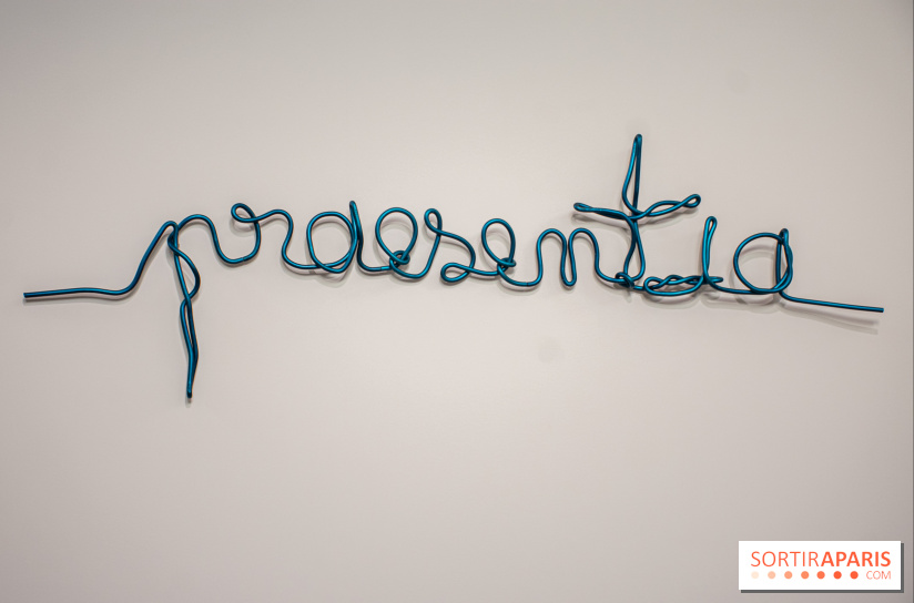 Exposition Praesentia de Myriam Mihindou au Palais de Tokyo - DSC 1619