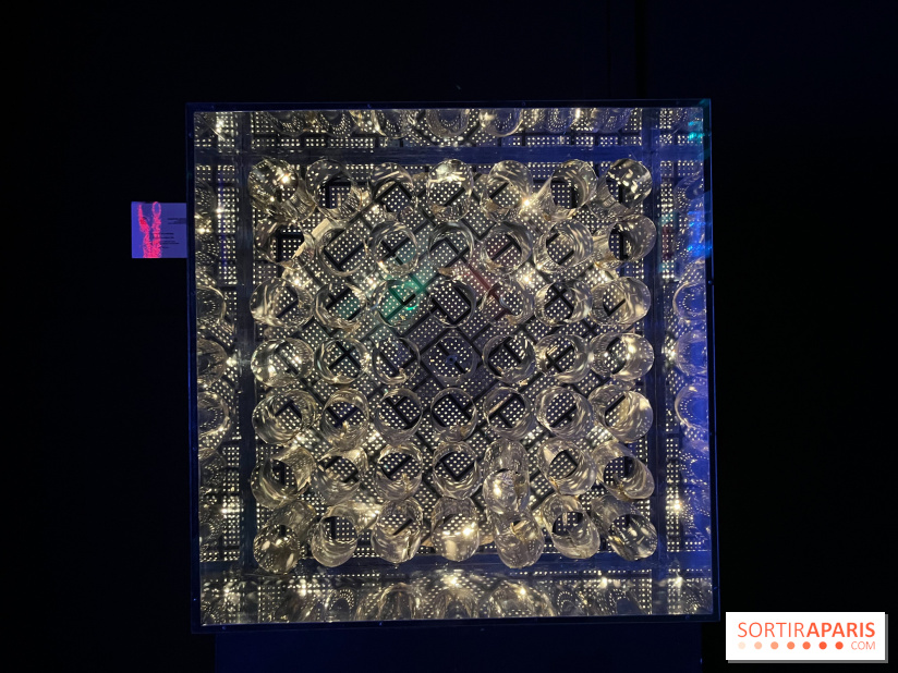 Fondation Cherqui - nos photos - image00017