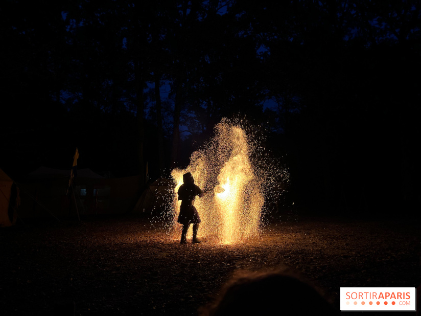 Les Esprits de la Forêt - IMG 5629