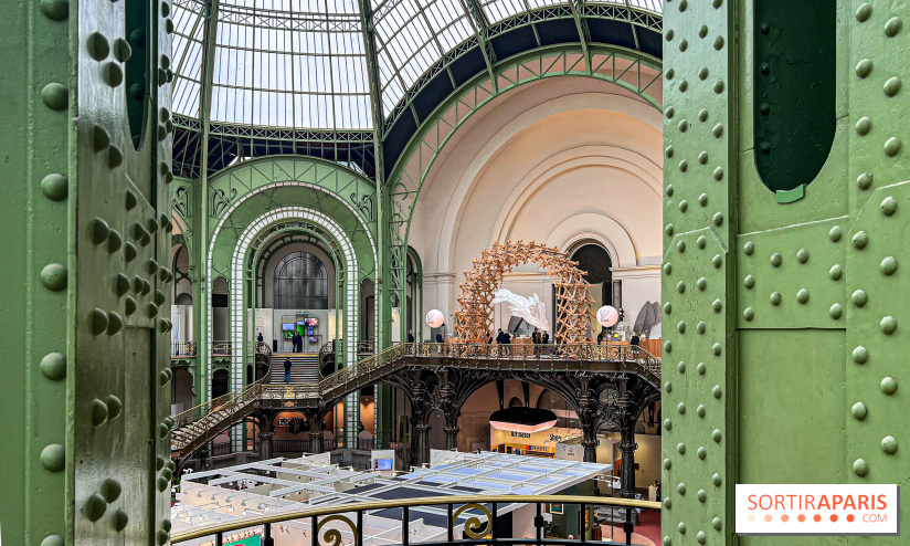 Art Basel 2024 au Grand Palais - image00029