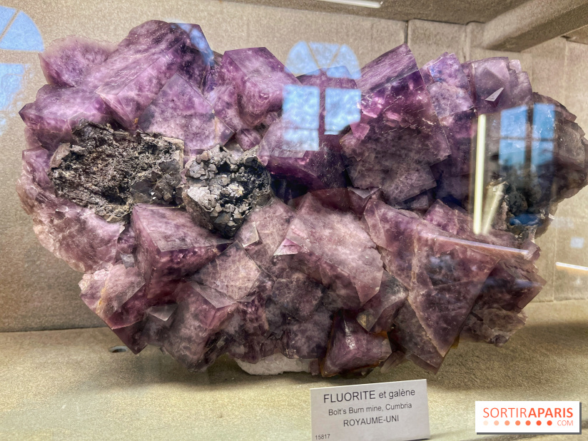 Musée de Minéralogie - IMG 5818